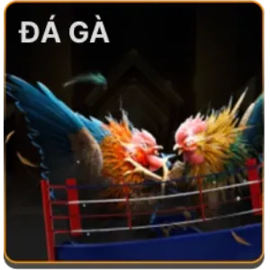 Đá Gà ok789